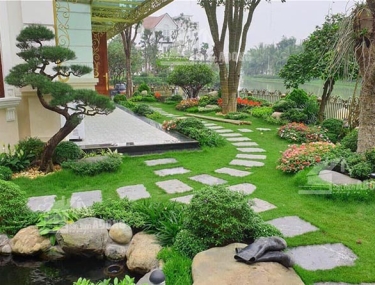 06 Bí quyết thiết kế sân vườn đẹp đem sinh khí vào nhà